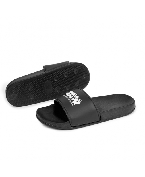 Pasco Slides