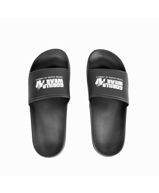 Pasco Slides
