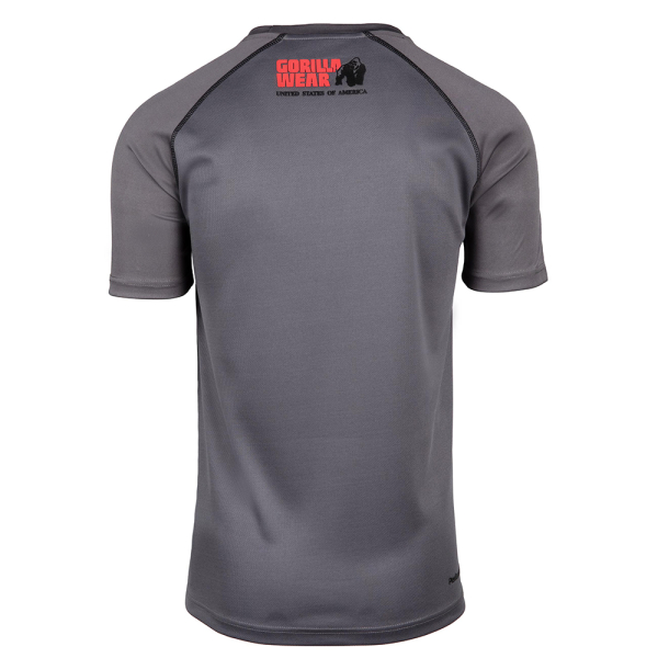 Performance T-Shirt  Gray