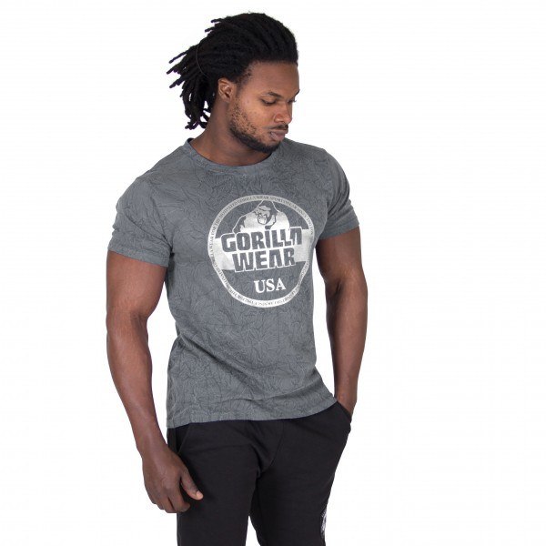 Футболка Rocklin T-shirt Gray