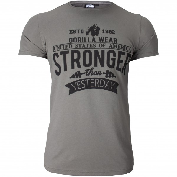 Футболка Hobbs T-shirt Gray