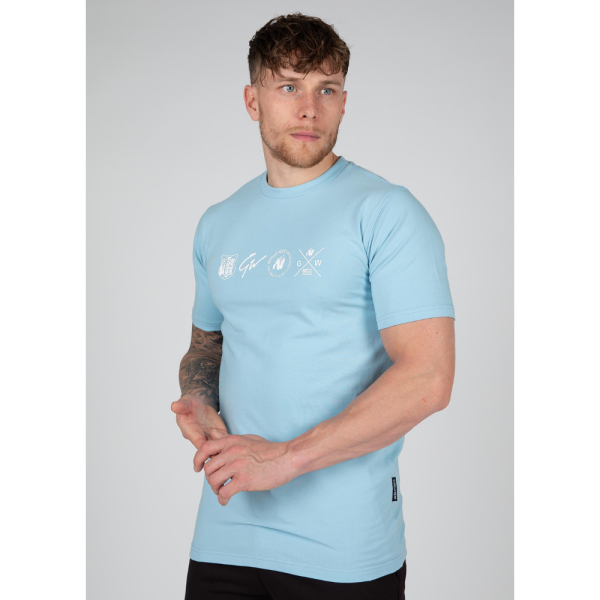 Футболка Swanton T-Shirt Blue
