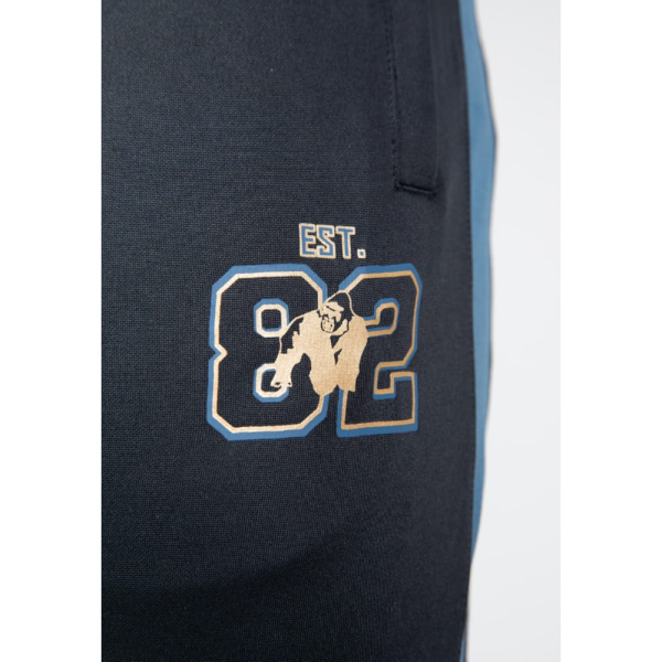 Штани Devon Training Pants Gray/Blue7