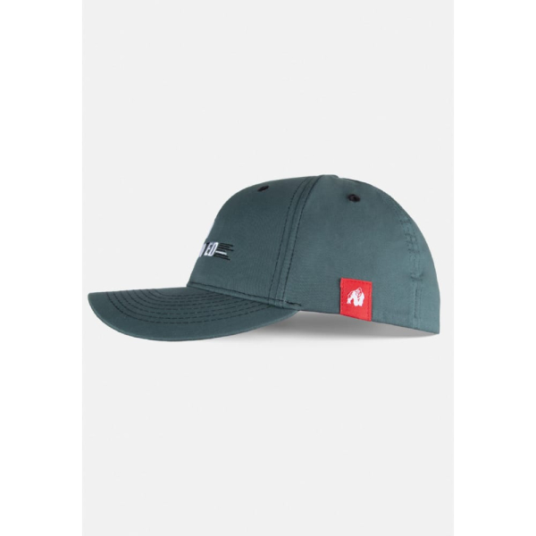 Кепка Hays Flexfit Cap Petrol2